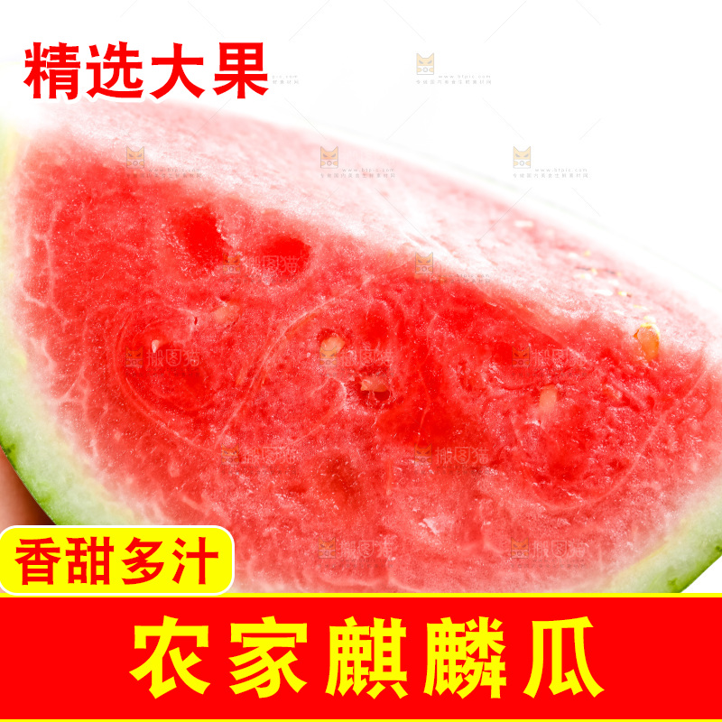 手里拿着西瓜