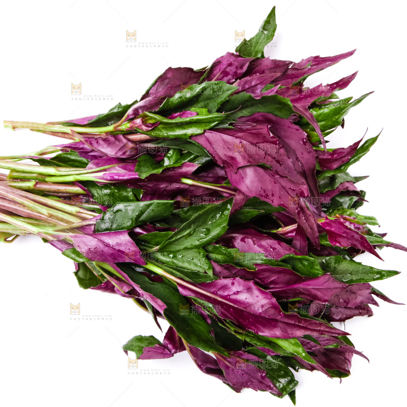 白底上摆放着血皮菜