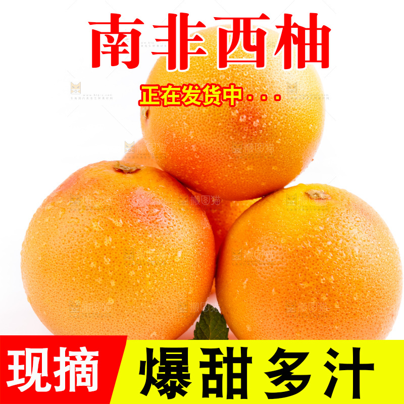 白底上摆放着南非西柚