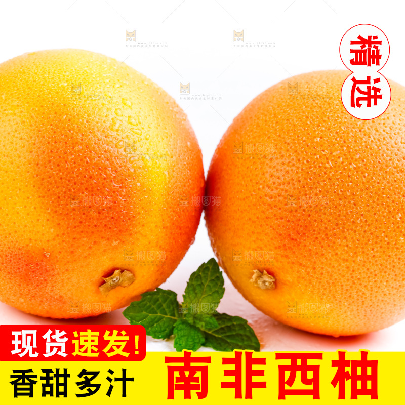 白底上摆放着西柚