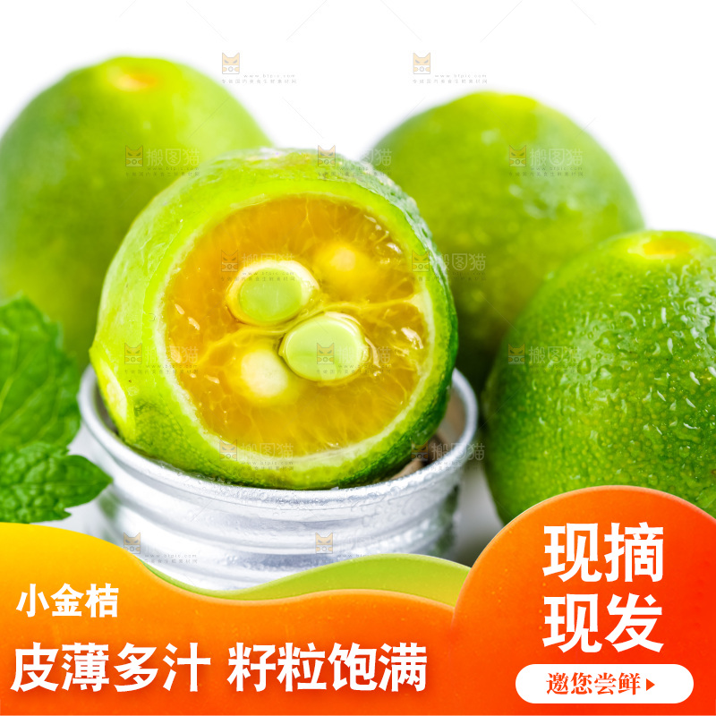 白底上摆放着海南小金桔