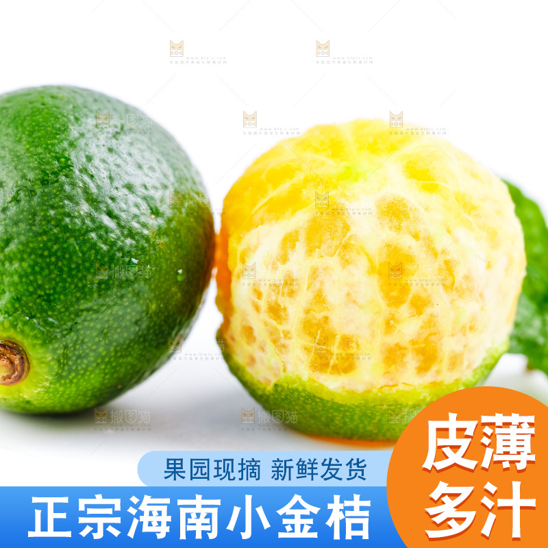 白底上摆放着海南小金桔