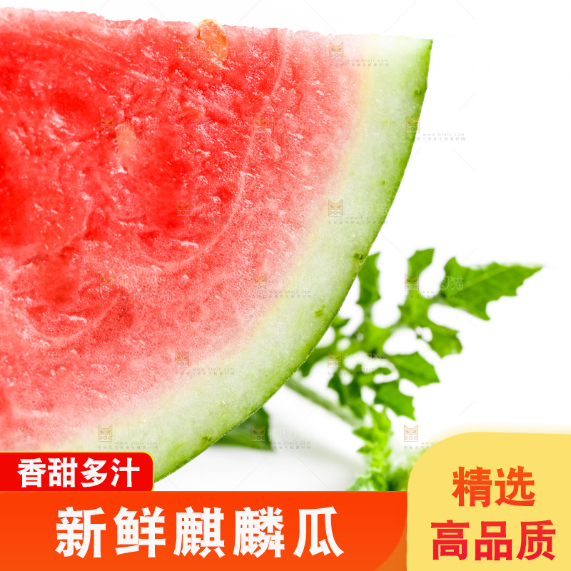 白底上摆放着麒麟西瓜