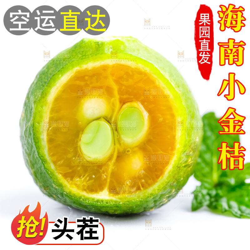 白底上摆放着海南小金桔