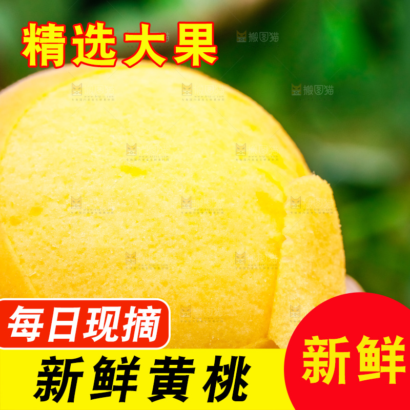 手里拿着黄肉毛桃