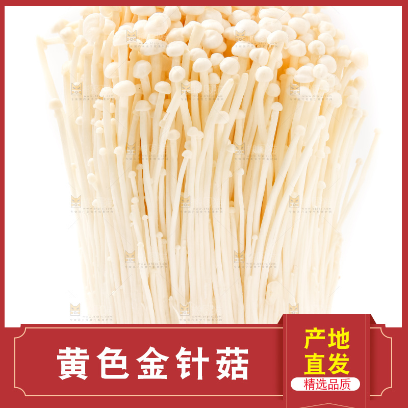 白底上摆放着金针菇