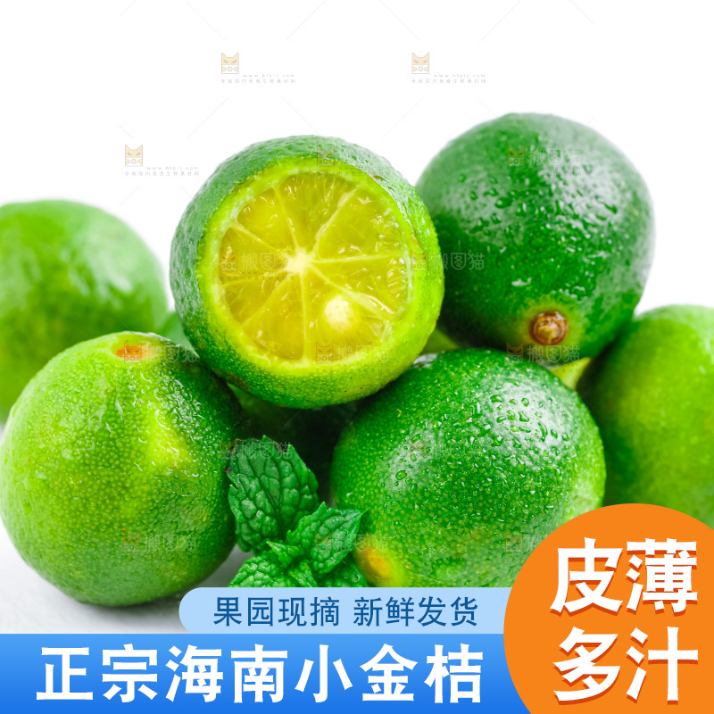 浅底上摆放海南小青桔