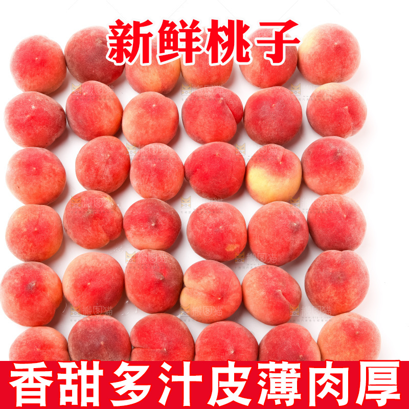 白底上摆放着新鲜桃子