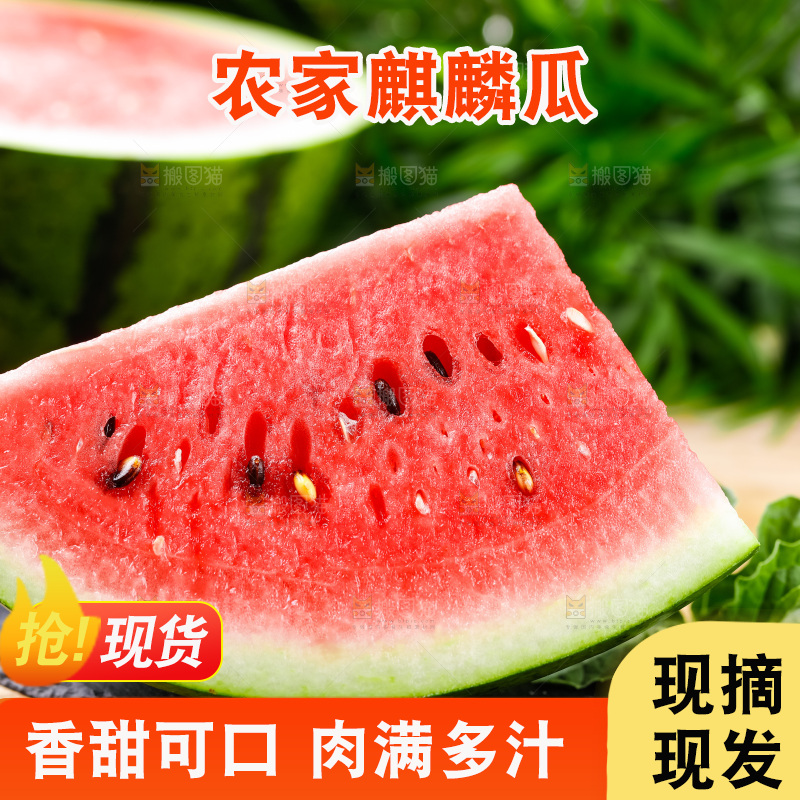 黑石板上摆放着麒麟瓜