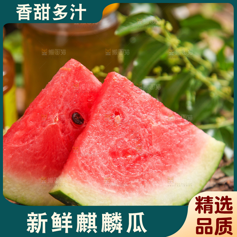 木底上摆放着麒麟瓜