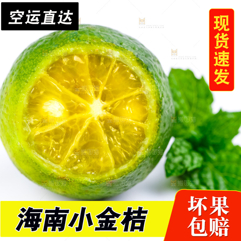 白底上放着小金桔