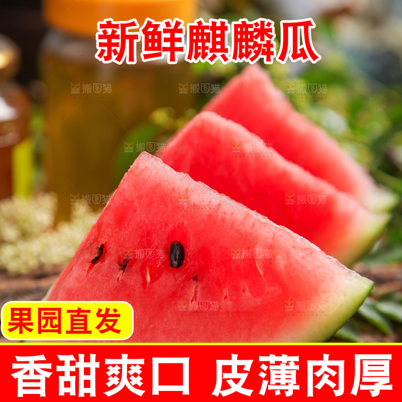 木底上摆放着麒麟瓜