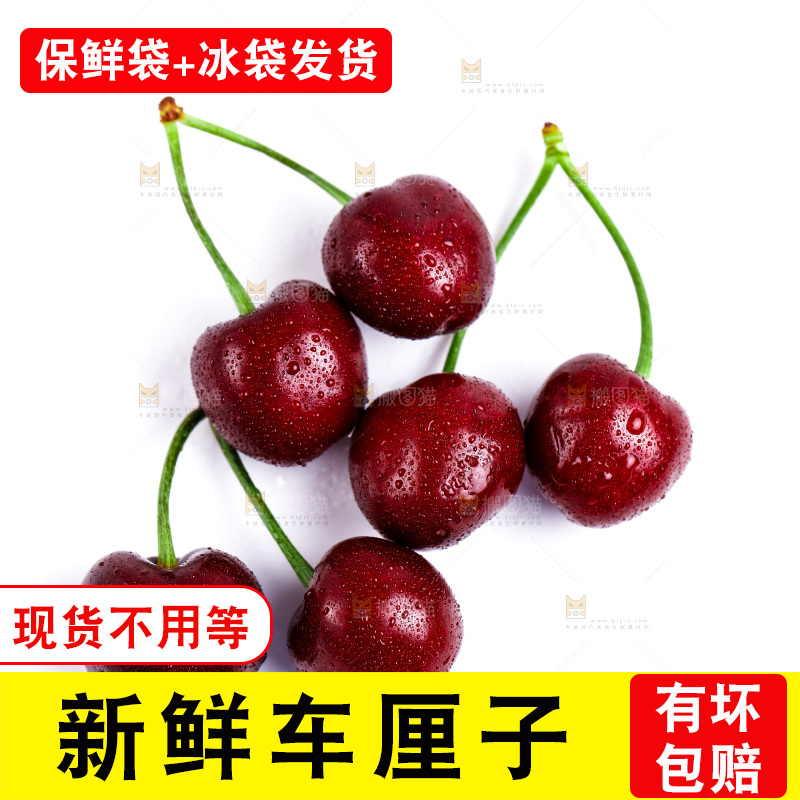 白底上的黑珍珠樱桃