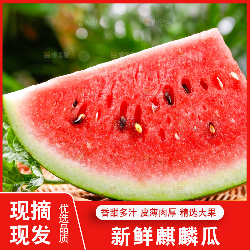 篮子上放着8424麒麟瓜