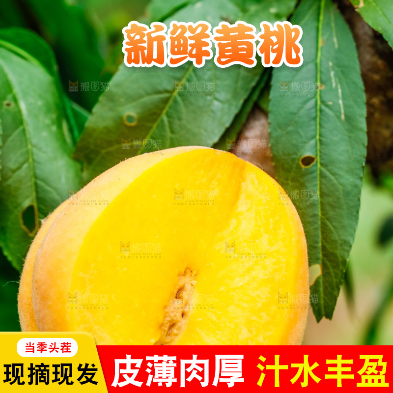 枝叶上摆放着黄桃