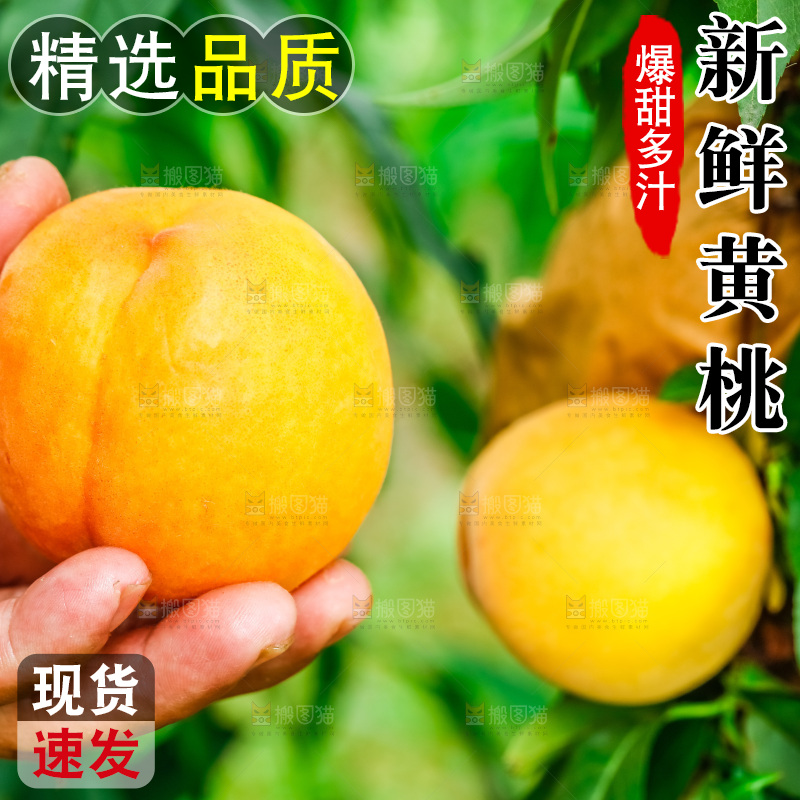 手里拿着新鲜黄桃