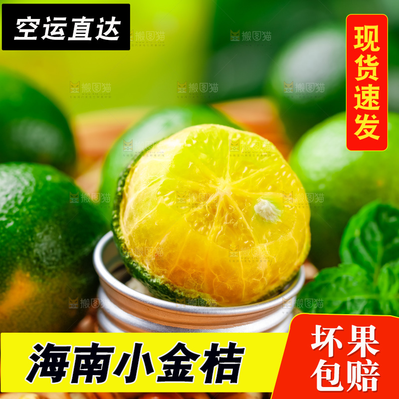 浅底上摆放着海南小金桔
