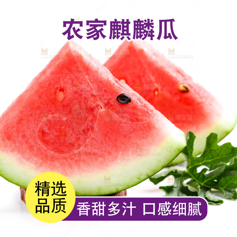 白底上摆放着麒麟瓜