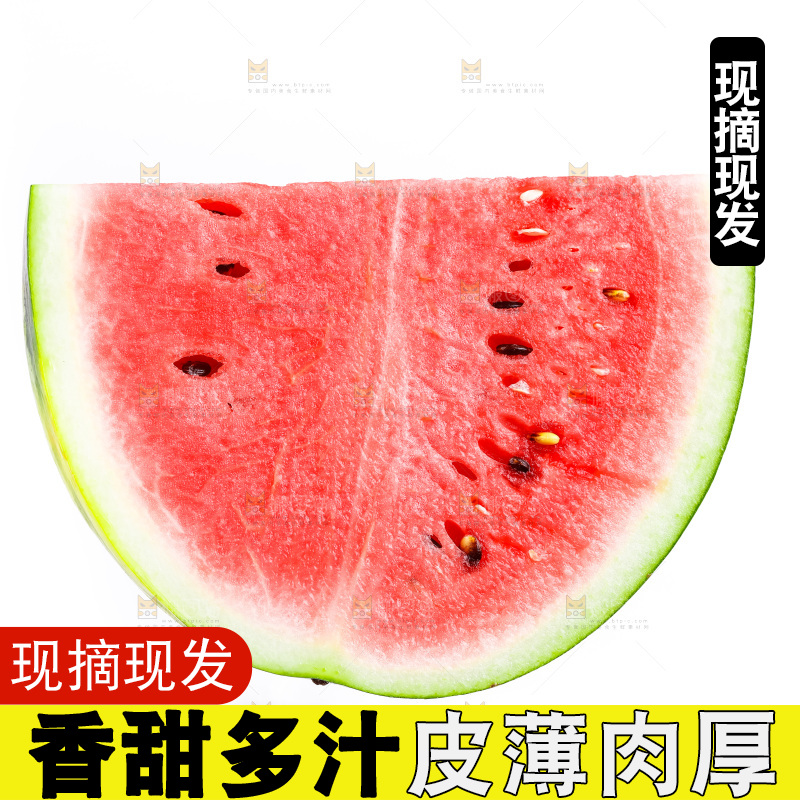 白底上摆放着麒麟西瓜