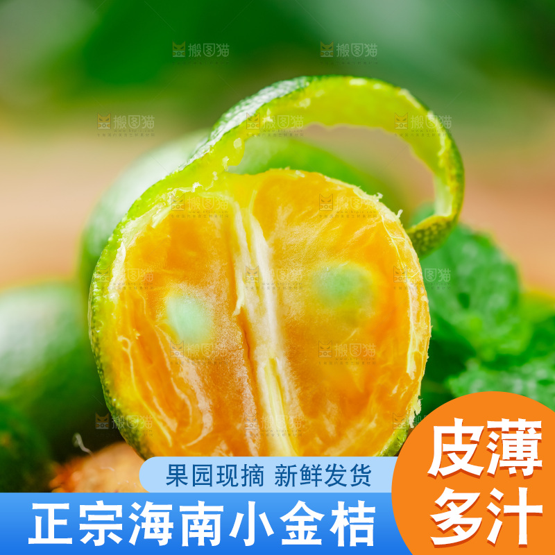 木底上摆放着海南小金桔