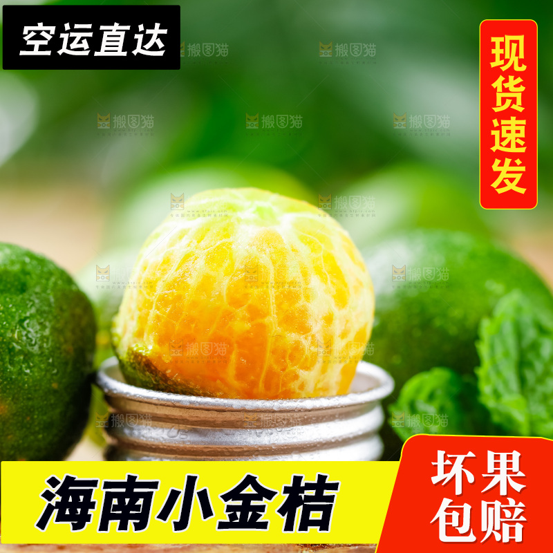 木底上摆放着海南小金桔