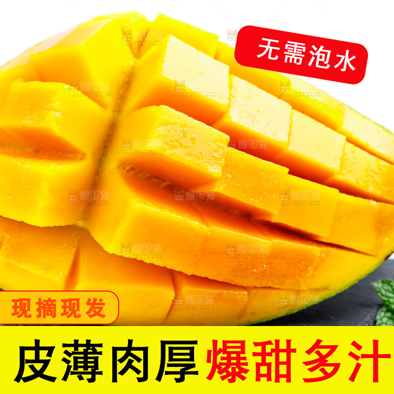黑石板上放着大青芒