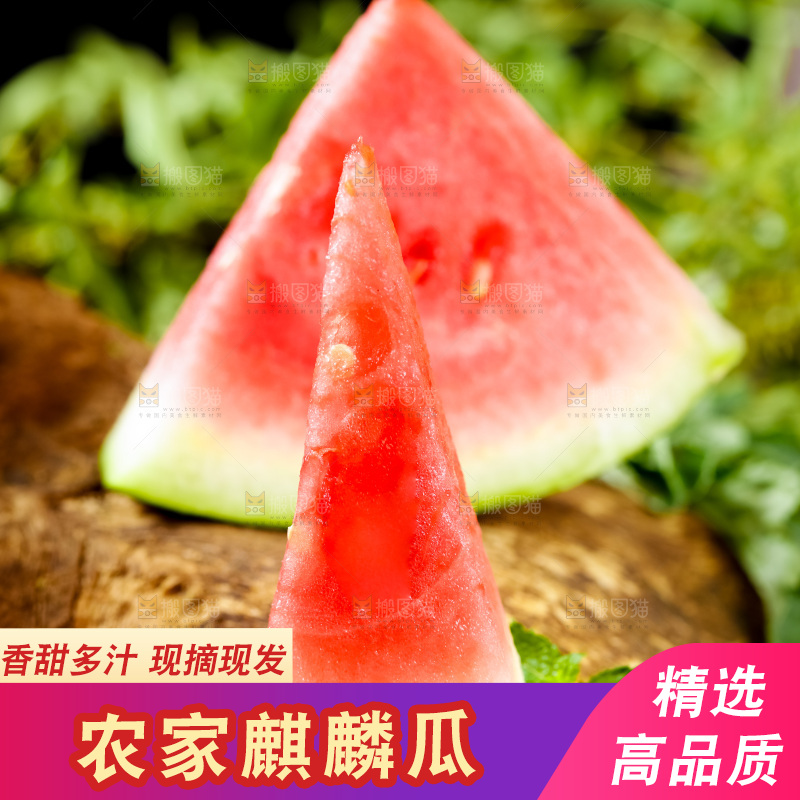 木底上摆放着麒麟瓜