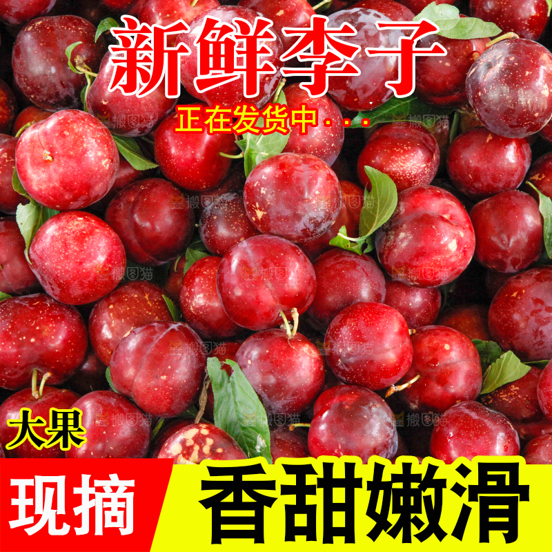 一堆红布林