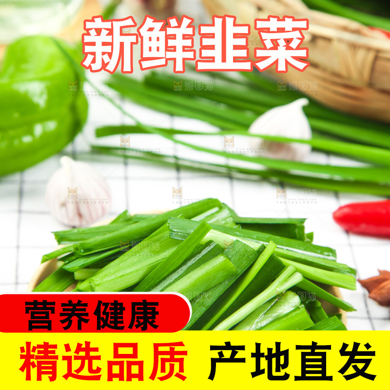 格子底上的鲜嫩韭菜