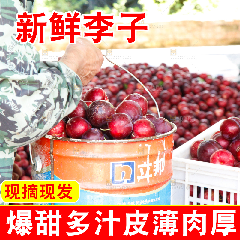 框子里装着红布林
