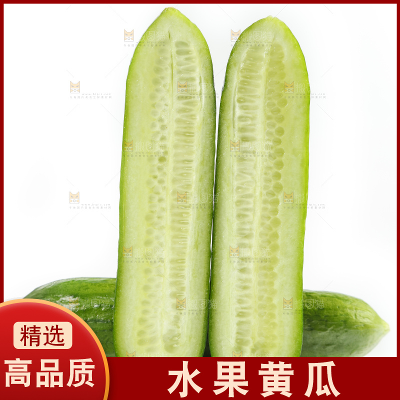 新鲜的山东小青瓜放在白底上