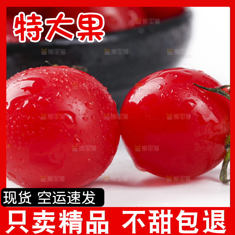 白底上放着新鲜圣女果