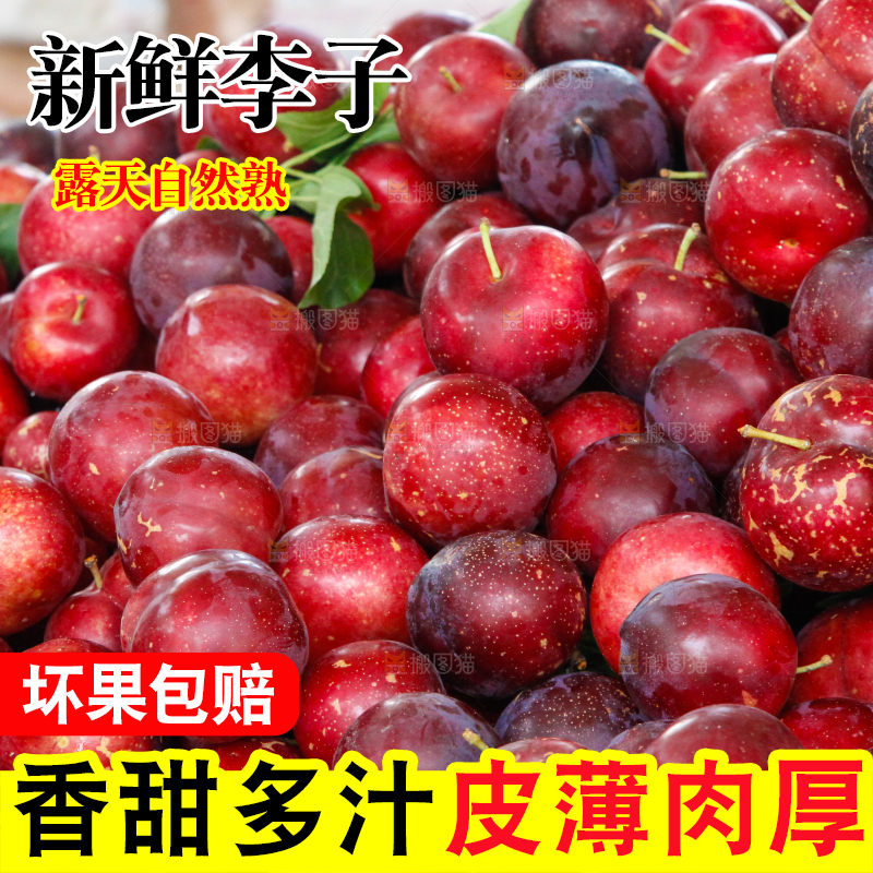 一堆红布林