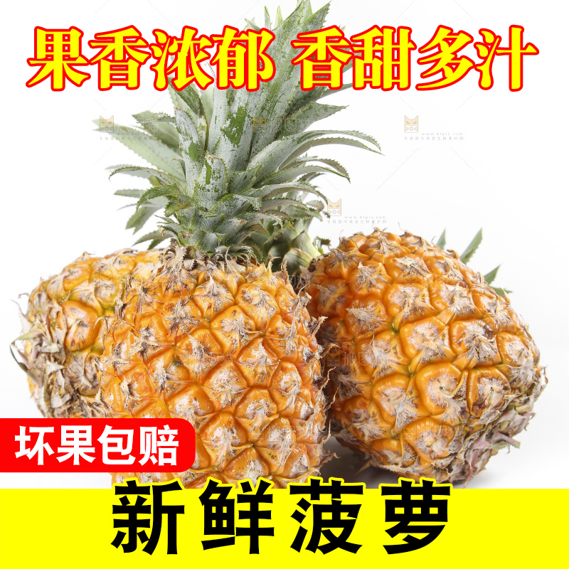 白底上的新鲜菠萝