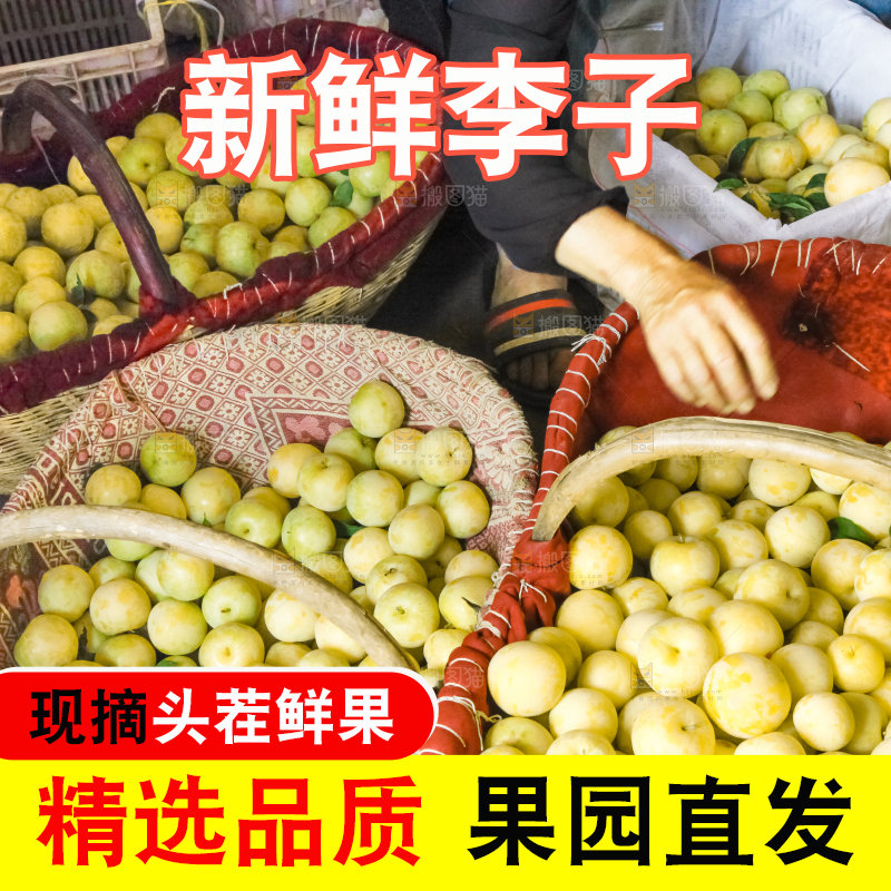 篮子里装着黄金奈李