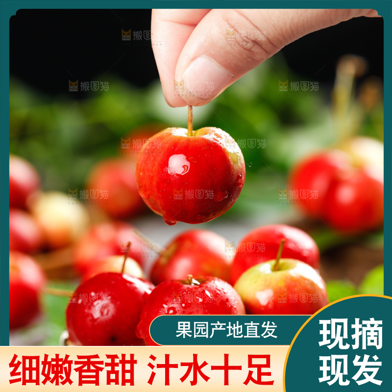 手拿新鲜的海棠果