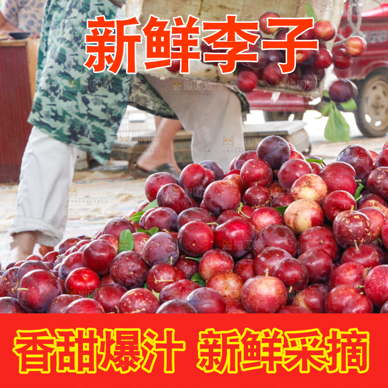 框子里装着红布林