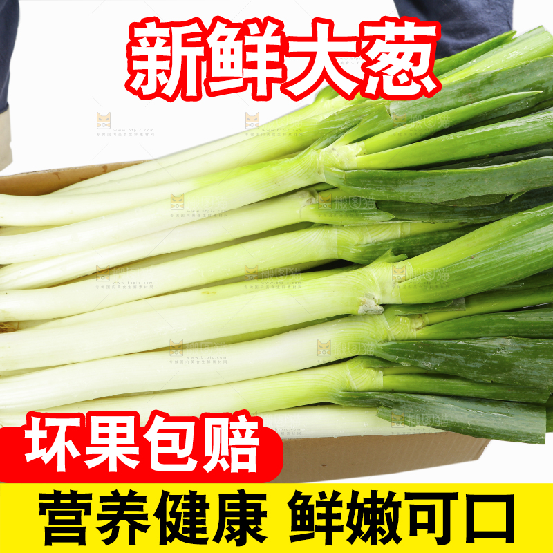 白底上的大葱