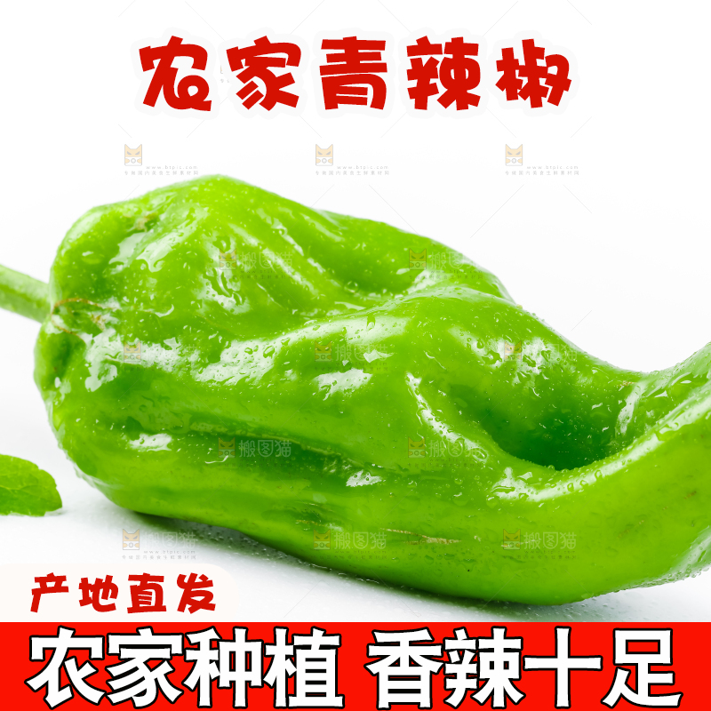 白底上放着青椒