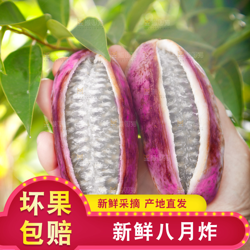 手里拿着新鲜八月瓜