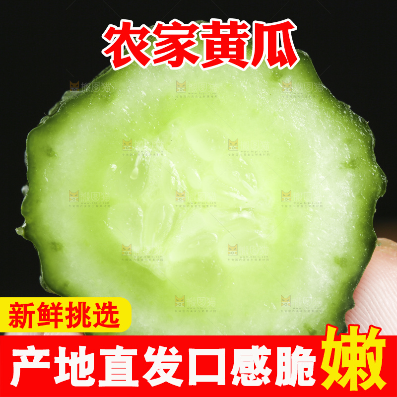 手拿切开的新鲜青瓜