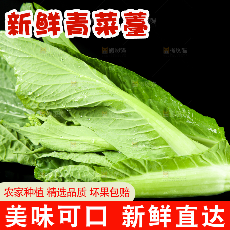 黑底上放着菜薹