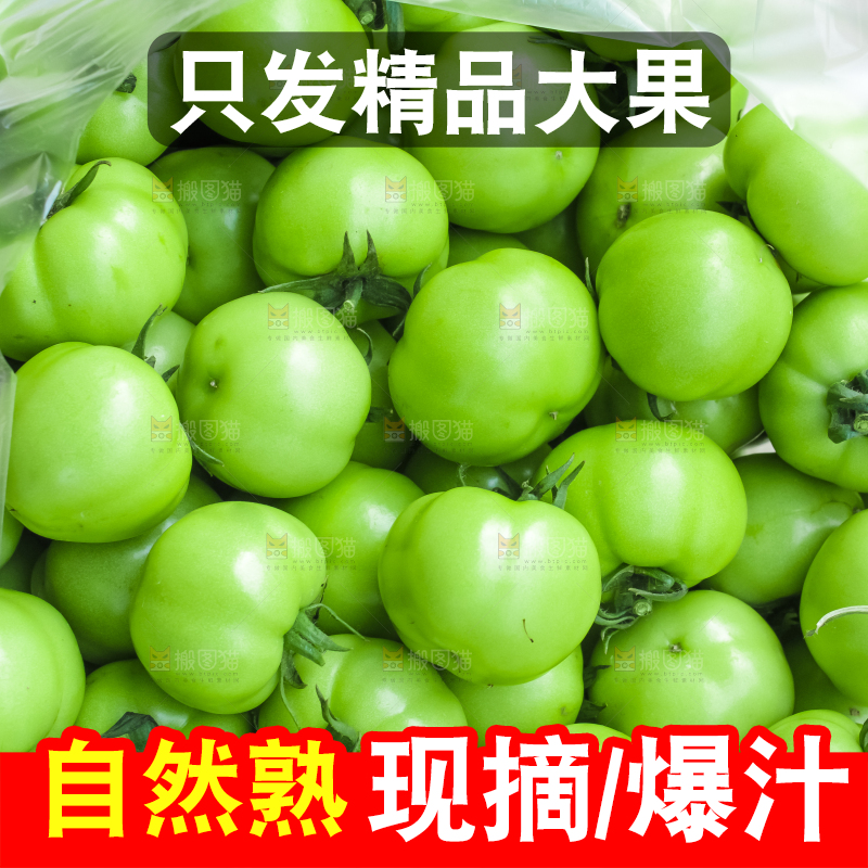袋子里装着西红柿