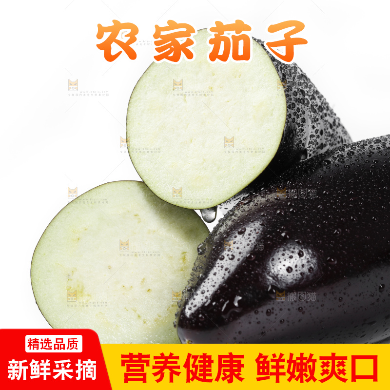 白底上的紫茄子