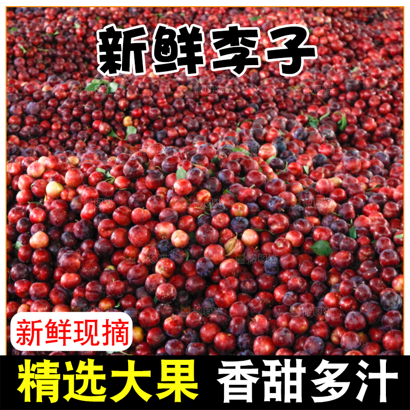 一堆红布林