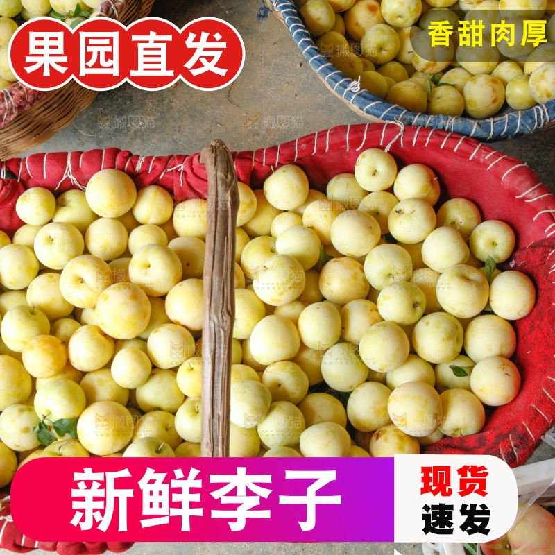 篮子里装着黄金奈李