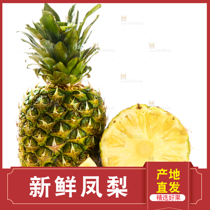 白底上的海南金钻凤梨