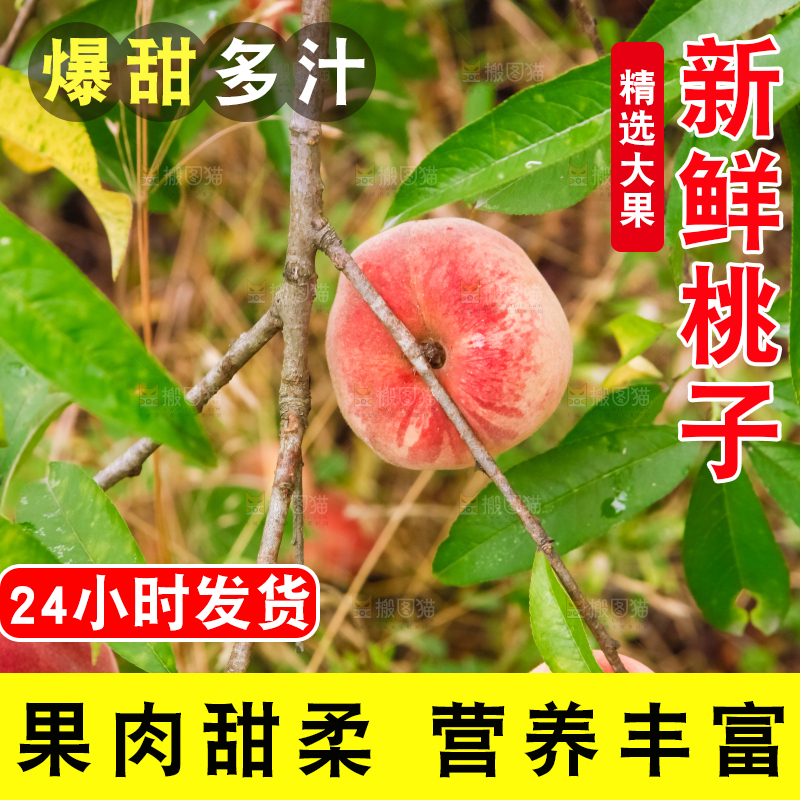树上挂着胭脂红桃子