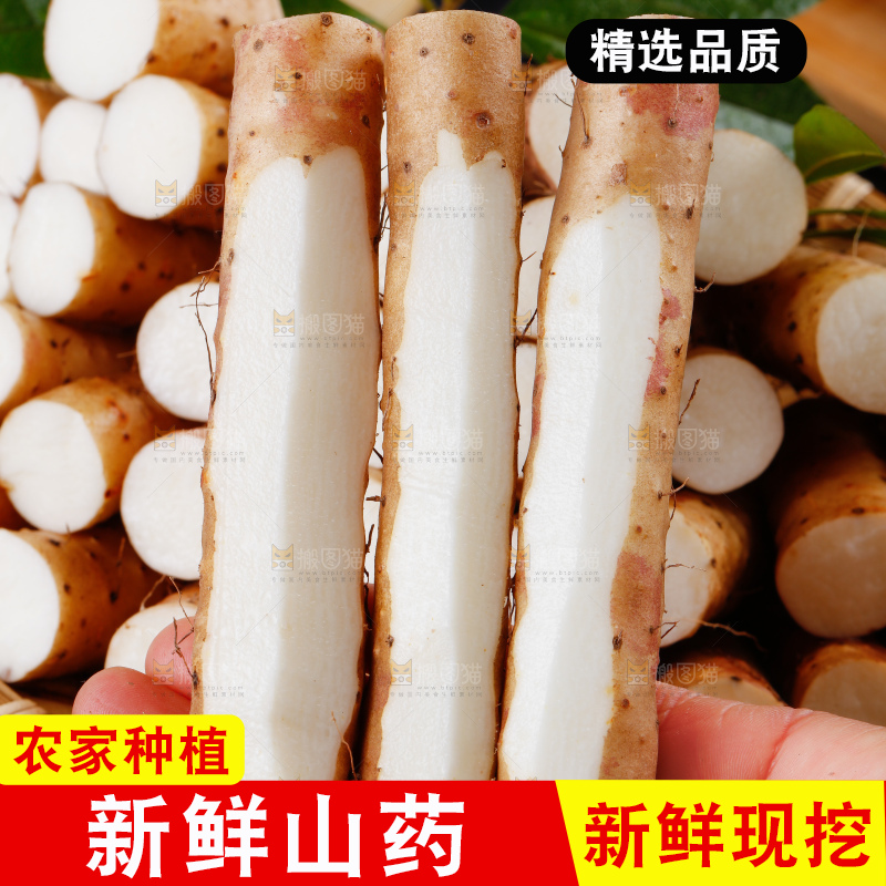 手里拿着新鲜山药