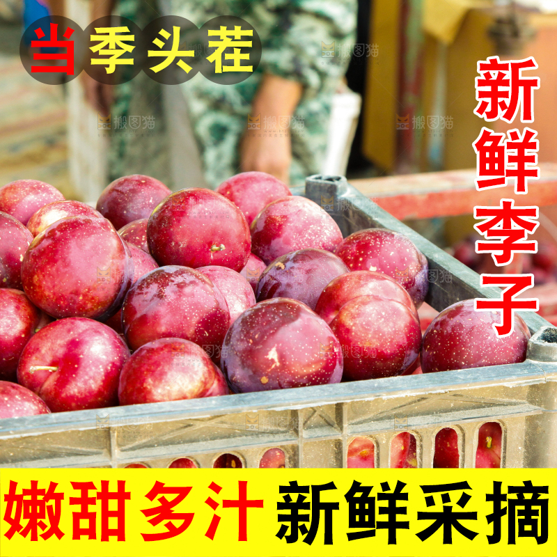 框子里装着红布林